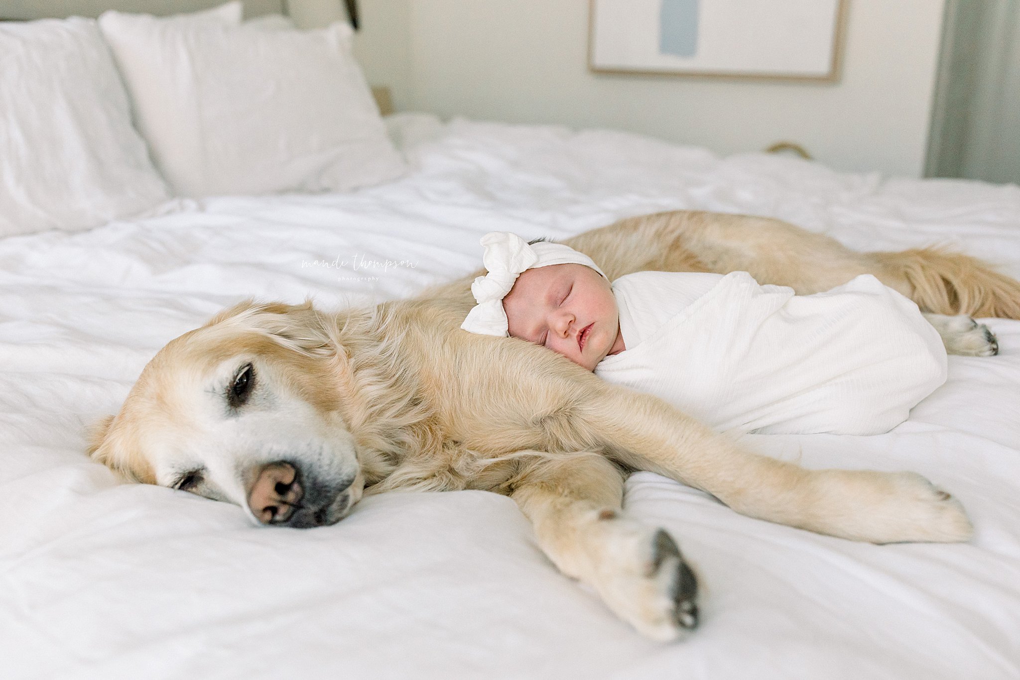 Newborn baby and family dog cuddling during in-home lifestyle newborn session in Katy, Texas