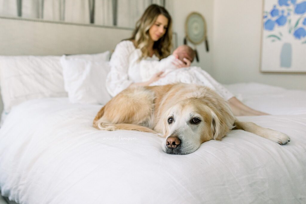 Family dog and newborn baby sharing a tender moment in Katy, Texas lifestyle newborn session